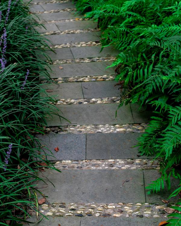 Grey stone steps set with pebbles, edged on one side by purple-flowering liriope and on the other by lush ferns.